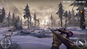 Deer