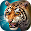 The Tiger