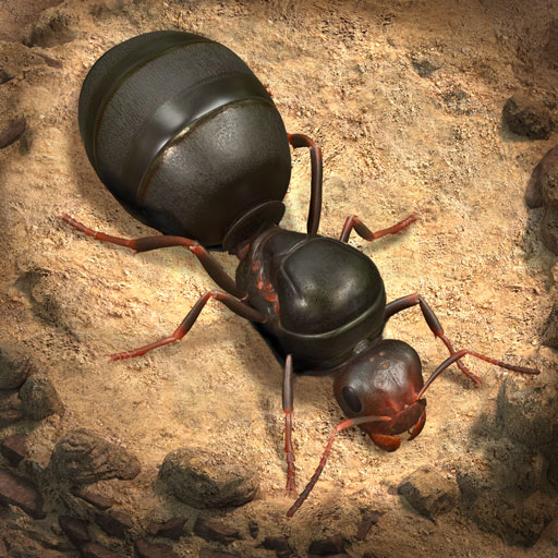 Play The Ants: Underground Kingdom Online